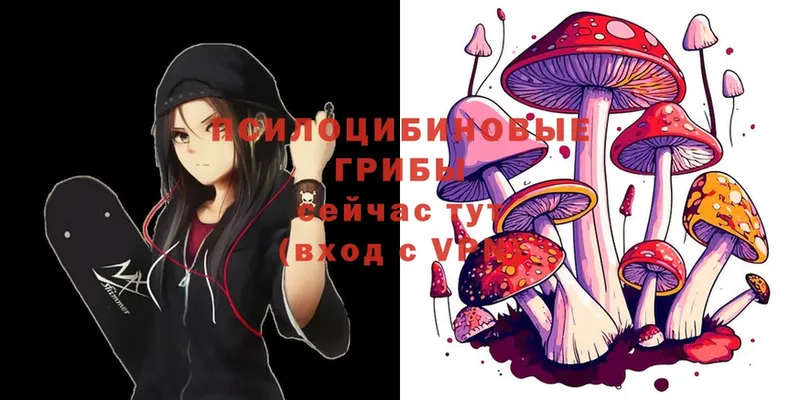 Псилоцибиновые грибы Magic Shrooms  Хабаровск 